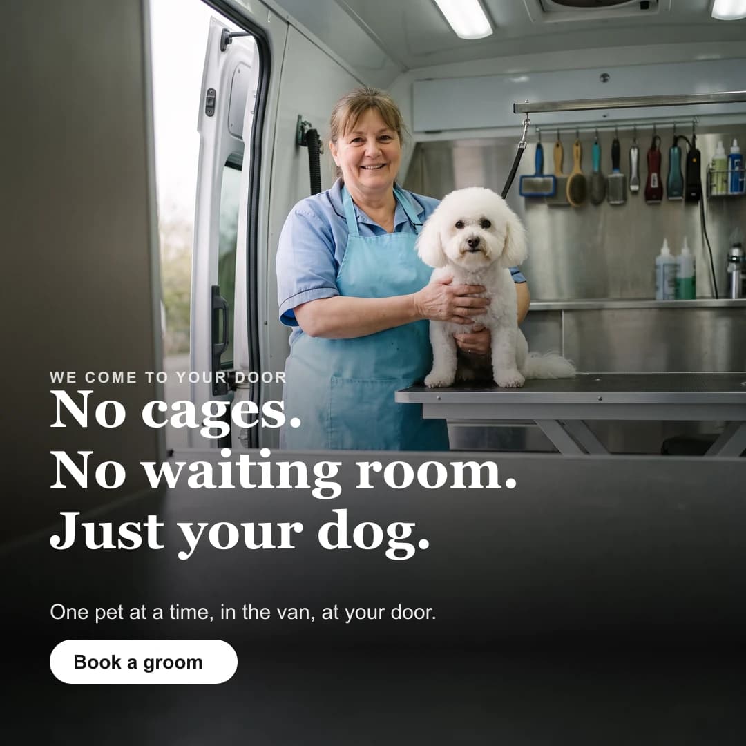 Sample Meta ad built for mobile pet groomers - generated sample, not a client campaign