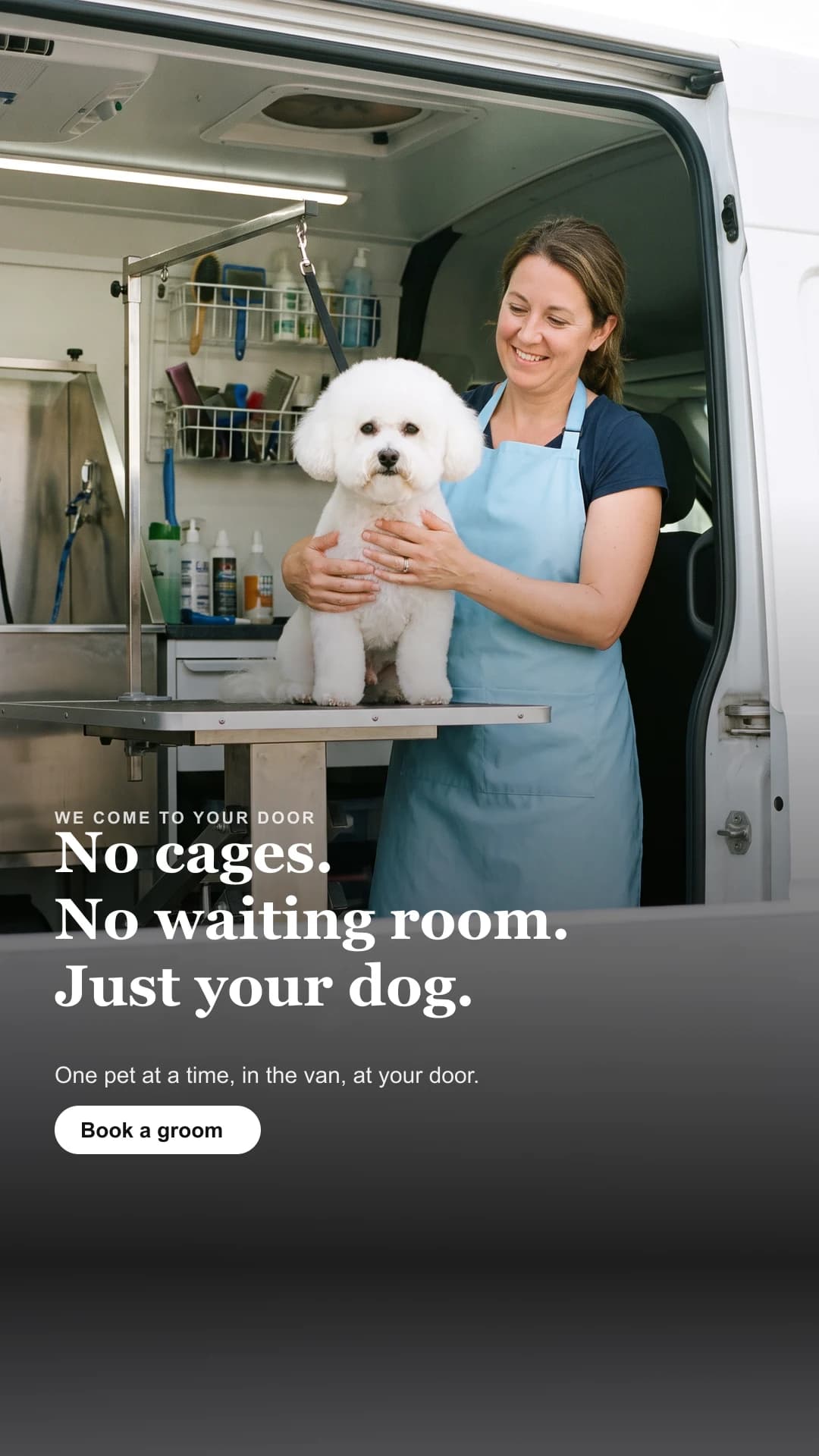 Pet grooming Meta ad, 9:16 Stories